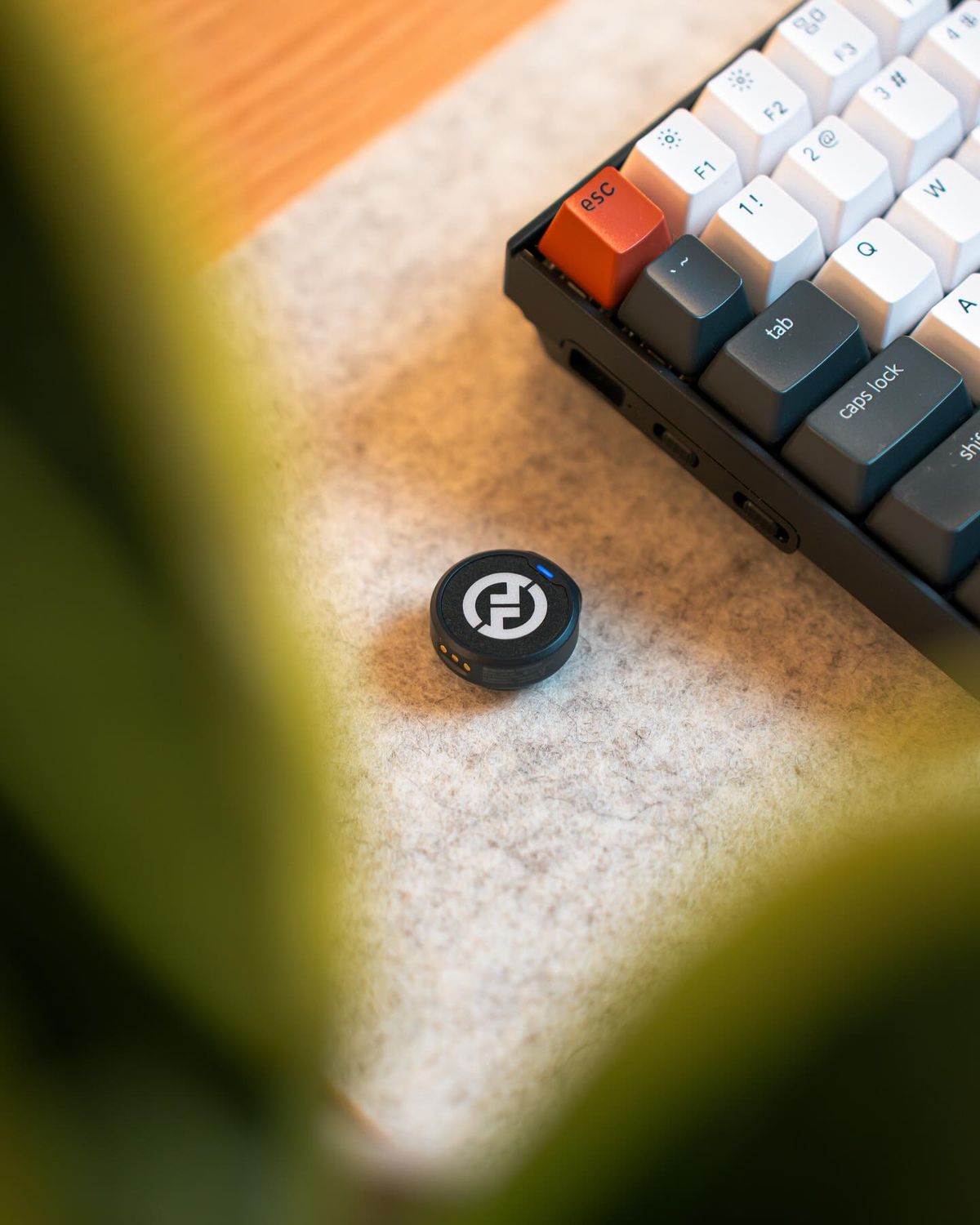 میخوای چی بخری؟